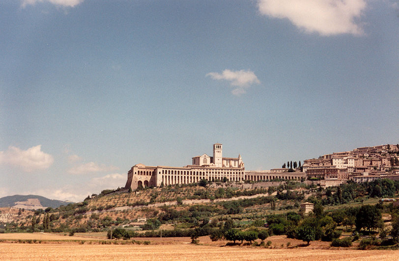 Panoramic view