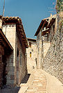 Assisi 91 Pic 11
