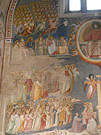 Padova 22 Pic 18