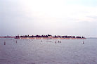 Venezia 09 Pic 9