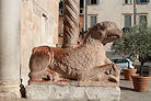 Verona 15 Pic 31