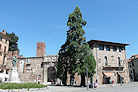 Vicenza 15 Pic 49