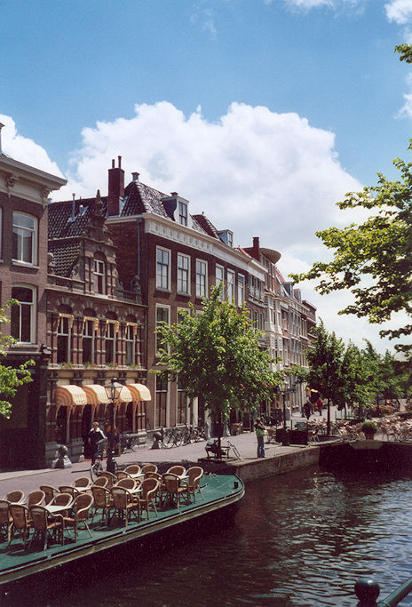 Nieuwe Rijn
