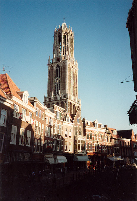 Dom area