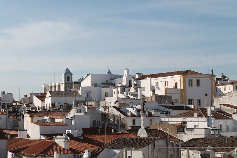 Panoramic view