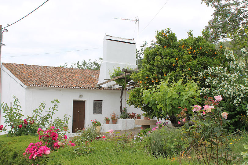 Rua de São Pedro