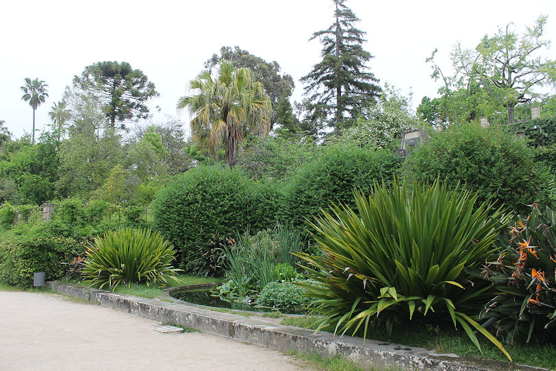 Botanic garden