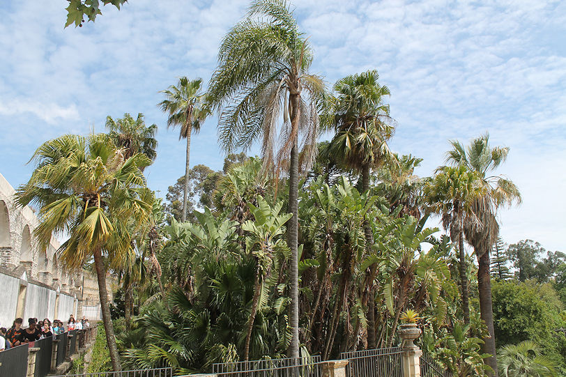 Botanic garden