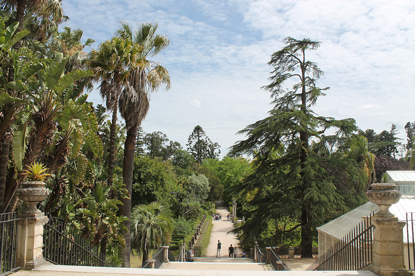 Botanic garden