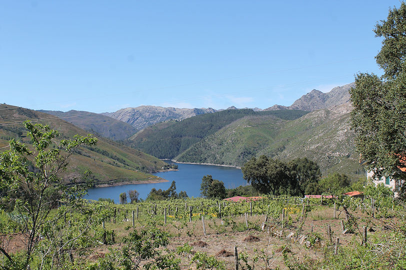 Panoramic view