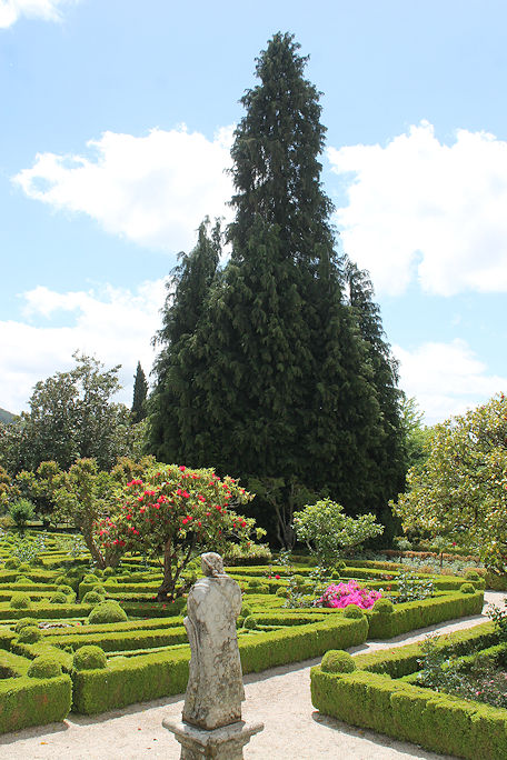 Casa de Mateus garden