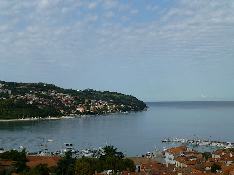 Bay