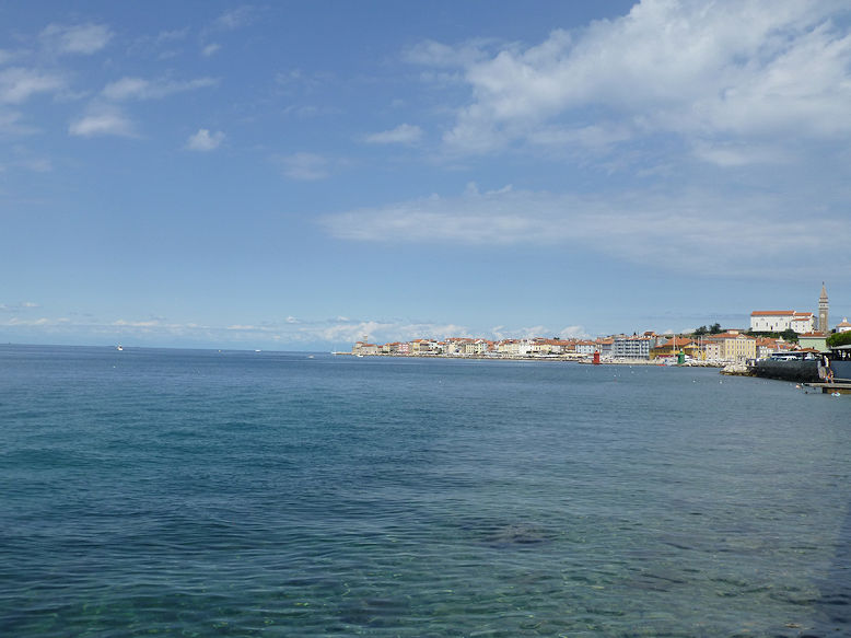 Panoramic view