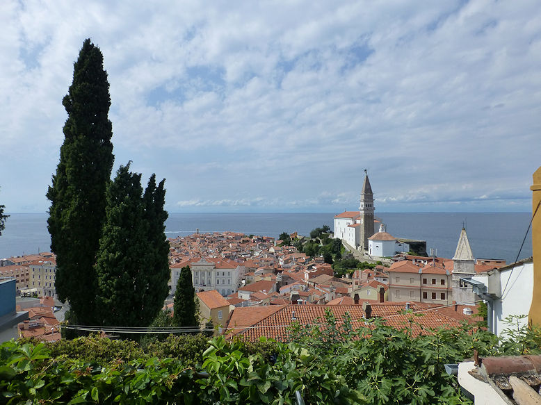 Panoramic view