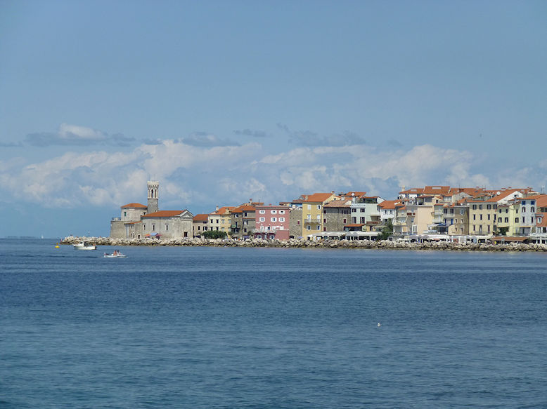 Panoramic view
