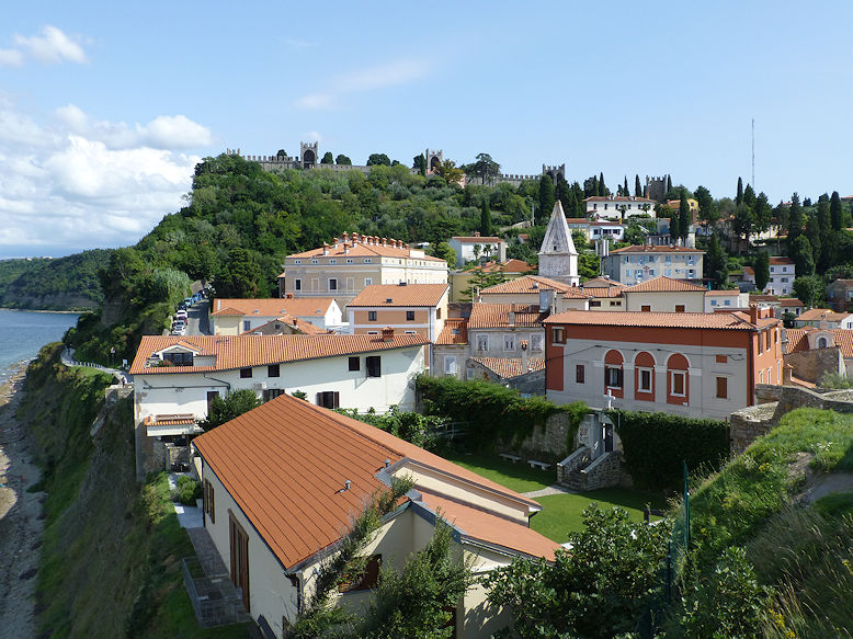 Panoramic view