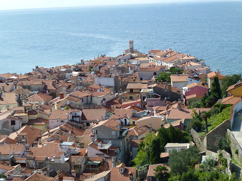 Panoramic view