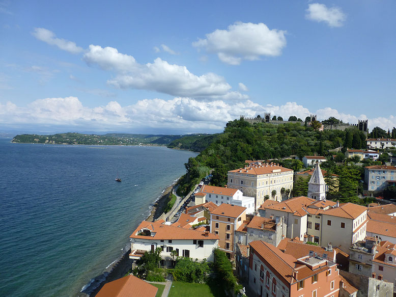Panoramic view