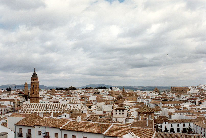 Panoramic view
