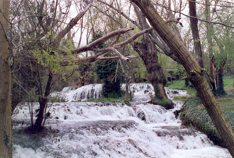Park