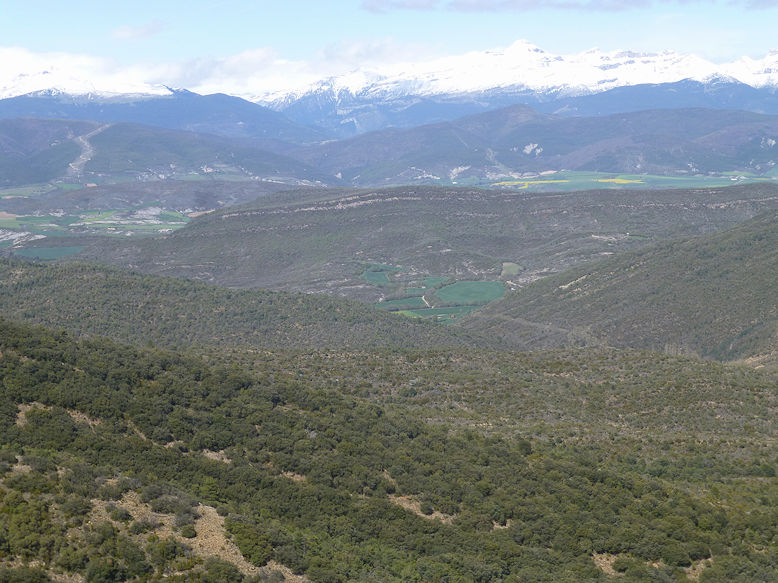 View from Mirador Santa Cruz de la Serós