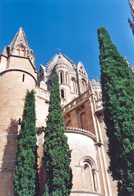 Catedral Vieja