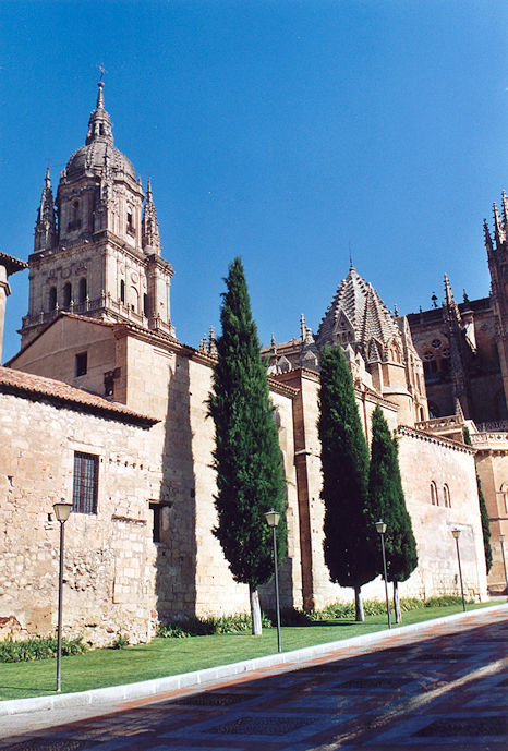 Catedral Nueva & Catedral Vieja