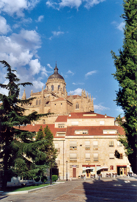 Catedral Nueva
