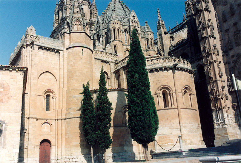 Catedral Vieja