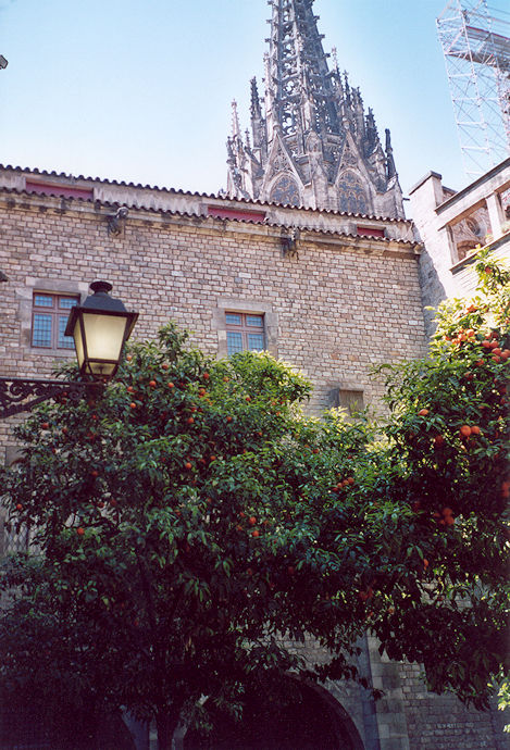 Frederic Marès Museum & Cathedral