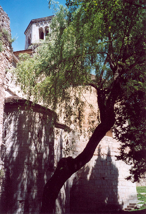 Sant Pere de Galligants
