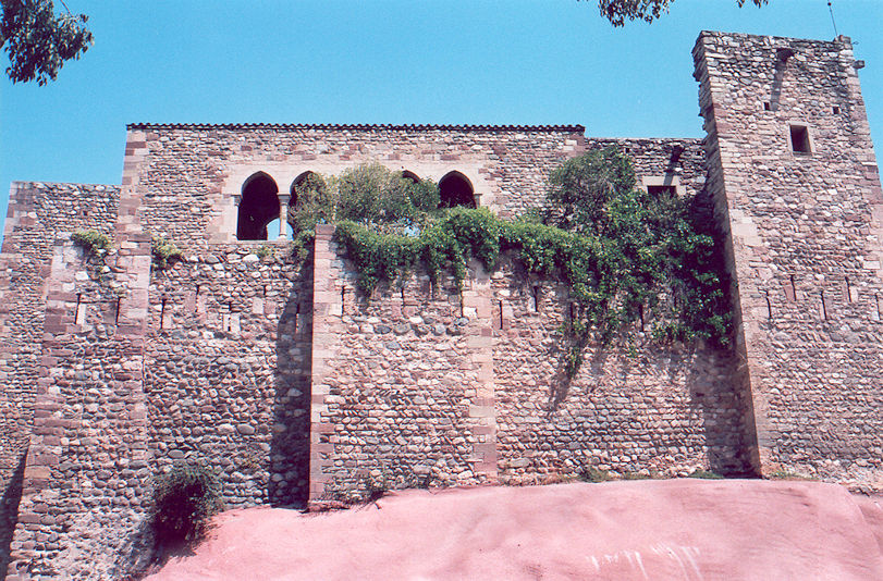 Castell cartoixa de Vallparadís