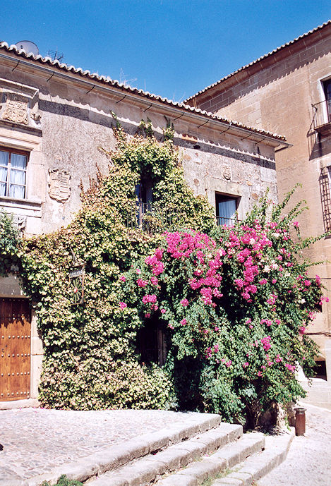 Calle del Rincón de la Monja