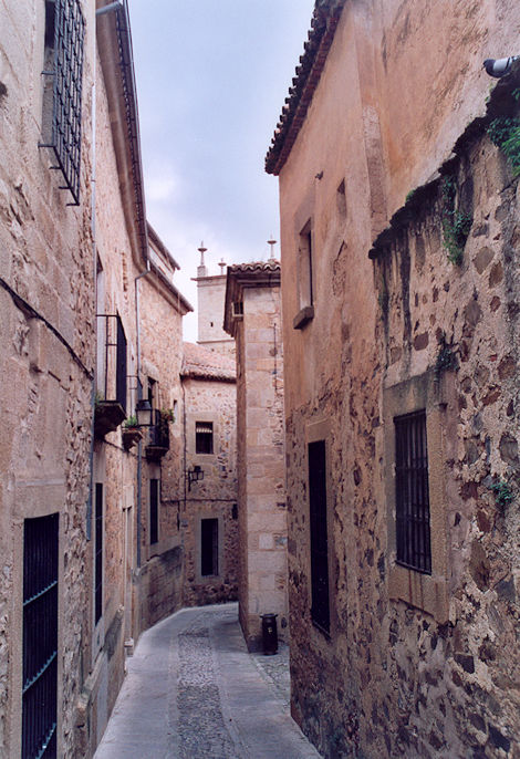 Calle de la Manga