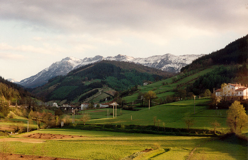 Landscape