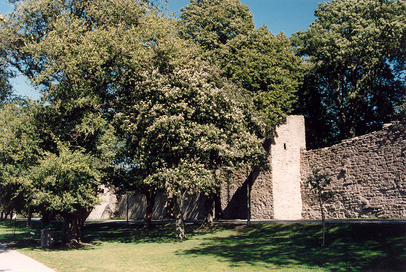Visby walls
