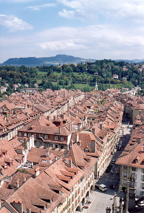 Panoramic view