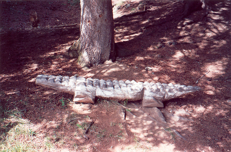 Crocodile bench