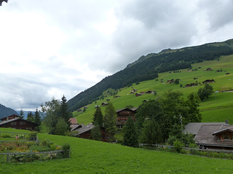 Panoramic view