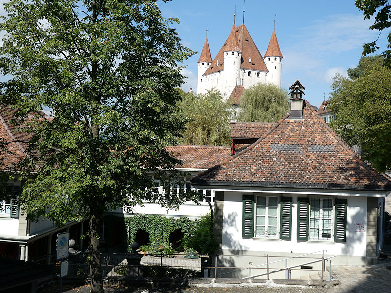 House along Schlossberg and Castle in the background