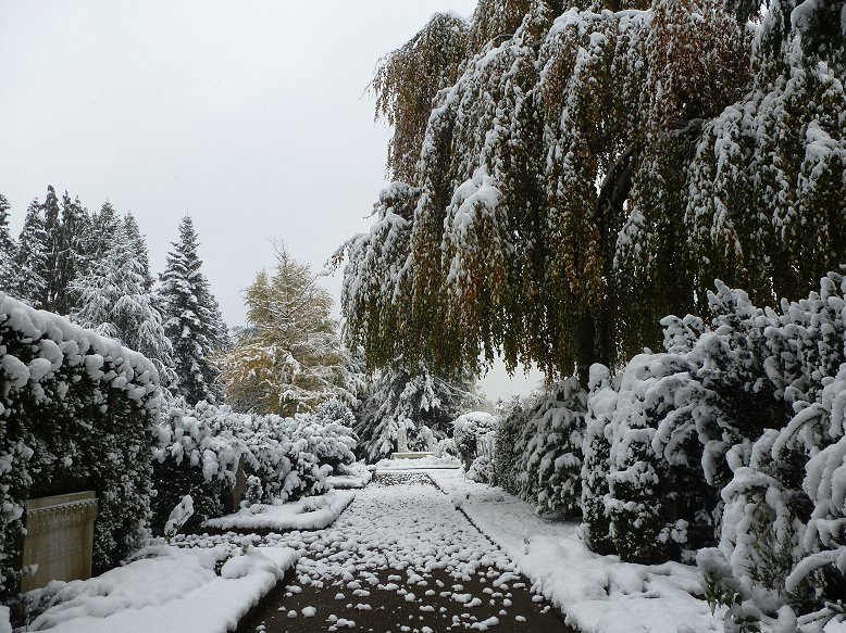 Friedhof Enzenbühl