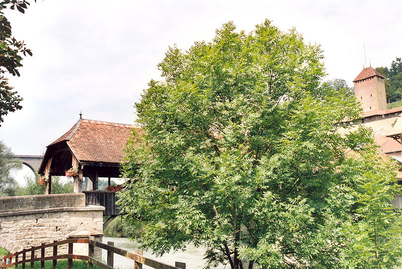 Pont de Berne