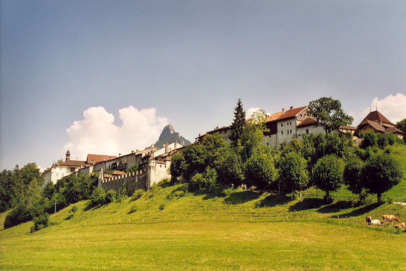 Panoramic view