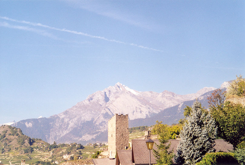 Panoramic view
