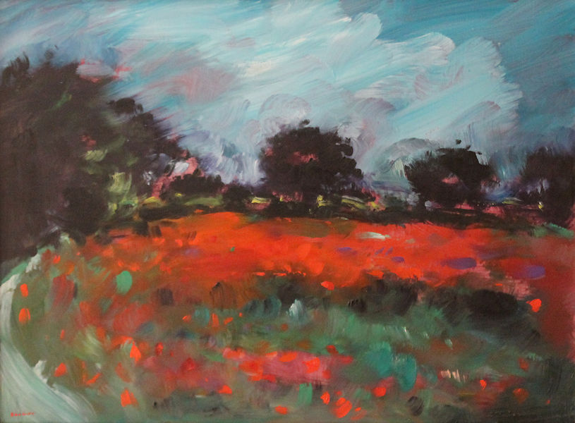 Champ coquelicots
