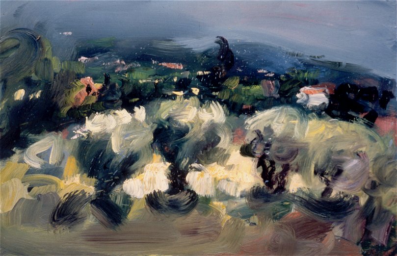 Oliviers ferme Ribas
