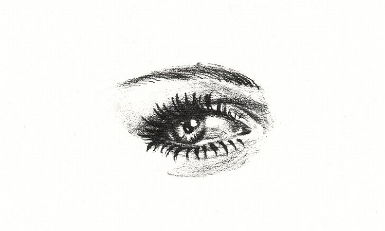 Eye