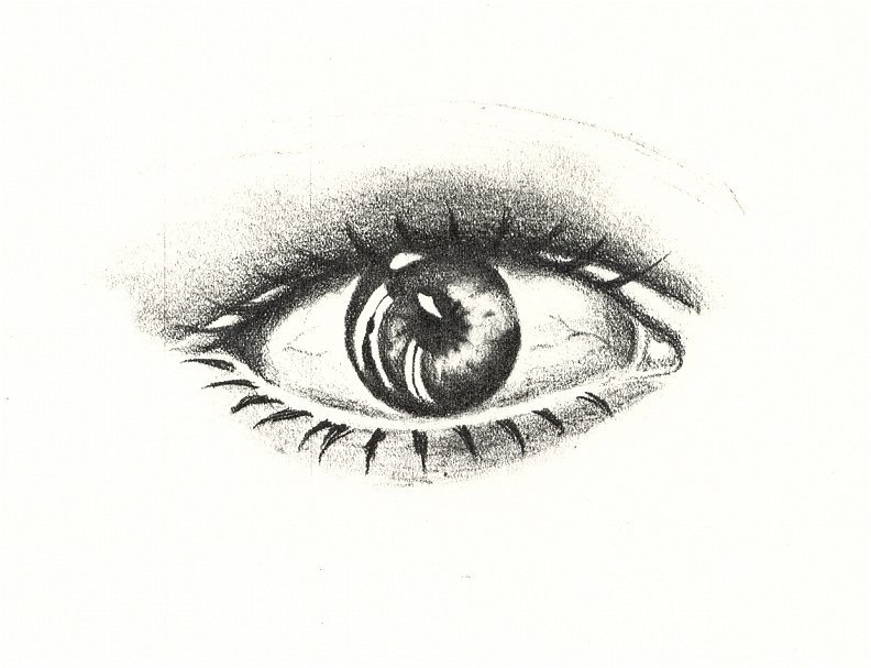 Eye and reflection
